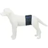 Trixie Plasband voor Reuen - XL