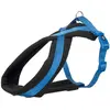 Premium Harnais, M¿L: 50¿80 Cm/25 Mm, Bleu - 20402