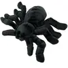 Jouet Aumüller Spuki Tarantule effrayante pour chat - 1 jouet