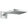 hansgrohe, Pommeau de douche, Pomme de douche AXOR STARCK SHOWERCOLLEC...