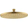 Axor, Pommeau de douche, Starck ShowerSolutions Pommeau de douche à pl...