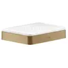 Axor, Distributeur de savon + porte-savon, Porte-savon/tablette UNIVER...