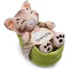 NICI Peluche Chat Bengal 12 cm endormi dans un panier vert clair - Peluche douce et durable, mignonne peluche à câliner, pour jouer, pour enfants et adultes, une excellente idée de cadeau