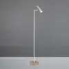 Trio Lampadaire, lampe sur pied, lampe d'appoint, lampe de salon, mobi...