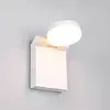 LED Tuinverlichting - Wandlamp Buitenlamp - Trio Nuri - 7.5W - Aanpasb...