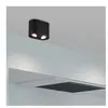 Spot Plafonnier 2 Spots GU10 Orientables Cookie Noir Trio Lighting