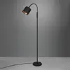 RL LIVE YOUR LIGHT REALITY Tommy Vloerlamp 1x E14 Zwart
