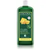 LOGONA Naturkosmetik Shampooing Volume Bière et Miel Bio