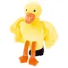 Beleduc 40115   Marionnette à main canard, éprouvée à la maternelle, multicolore