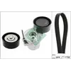 Riemset 529036210 Ina