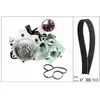 Schaeffler INA Pompe à eau + kit de courroie de distribution pour VOLK...