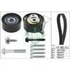 Distributieriemset 530074610 Ina