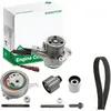 Schaeffler INA Pompe à eau + kit de courroie de distribution pour SKOD...