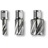 Fein Corona Weldon Ø32 x 25 HSS SPECIAL