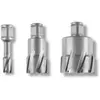 Fraise métrique Ultra au carbure emmanchement Weldon Ø12mm L77mm FEIN 63127276010