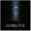 Bureau B Ambientale Vinyle Transparent