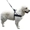 Kerbl Hondentuig Miami Plus Zwart 70-90cm