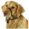 KERBL PET 2208440 Maxicoach Dressage/Conduite pour Chien Noir 38 cm