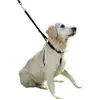Harnais pour chien Kerbl Maxi Leader - black - 55/80 cm