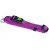 KERBL PET Miami Collier pour Chien Pourpre 20-35 cm