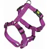 KERBL PET Miami Harnais pour Chien Pourpre 55-76 cm