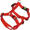 KERBL PET Miami Harnais pour Chien Rouge 40-57 cm