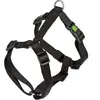 Kerbl Plats Miami (Chien, Général), Collier + laisse
