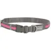 Kerbl Pet Collier lumineux Light und Reflex rose, M/L