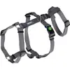 KERBL PET 80040 Miami Harnais anti-éclatement Gris 38-52 cm