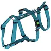 Kerbl Pet Pet 80043 Miami Harnais de panique, anti-éclatement, bleu pétrole, 48-70 cm