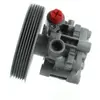 Servo pomp 54793 Spidan