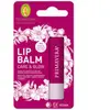 Primavera Lip Balm Care & Glow Lippenbalsem
