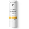 Dr Hauschka Stick Eclat des Lèvres 4,9 g