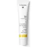 Dr. Hauschka - Tinted Daycreme Face Sun Cream SPF 30 40 ml