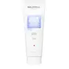 Goldwell - DS Color Revive - Shampoo Cool Blonde - 250 ml
