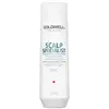 Goldwell Dualsenses Scalp Specialist Deep Cleansing Shampoo 250ml