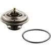 Febi-Bilstein Thermostaat