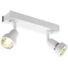 SLV PURI 2 plafondlamp Spotlamp 1x100W Wit 147371