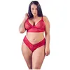 Cottelli Collection Ensemble Soutien-Gorge en Dentelle Douce avec Entr...