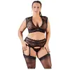 Cotelli Collection 22131841051 Ensemble Jarretelles en Dentelle
