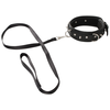 Vegan Fetish 100% Collier Végétalien en Laisse