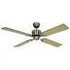 CASAFAN Ventilateur de plafond Telesto avec télécommande