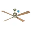 Ventilateur de plafond Eco Neo III WiFi 132 LA ER-HE