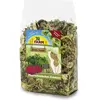 2,5kg JR Farm Schmaus pour cochon d'Inde