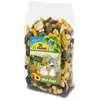 500g Salade de fruits JR Farm - Nourriture pour rongeur