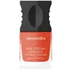 Alessandro Nail Polish Nagellak
