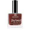 alessandro Vernis hybride Velvet Red - Cerise - En seulement 3 étapes ...
