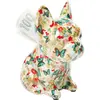 Tirelire Dog Fiore 12cm set de 4 Kare Design