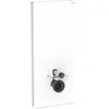 Geberit, Plaque de déclenchement, Module sanitaire