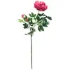 Europalms, Plantes artificielles, Branche de pivoine Premium, plante a...